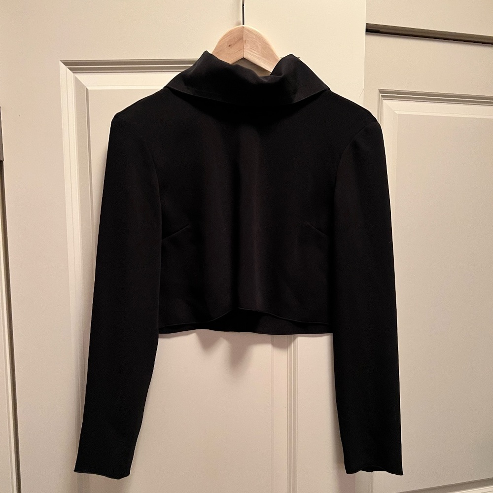 Babaton. Size XS Women's. Black faux silk crop top, high collar blouse.